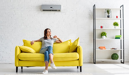 Indoor Air Quality Services